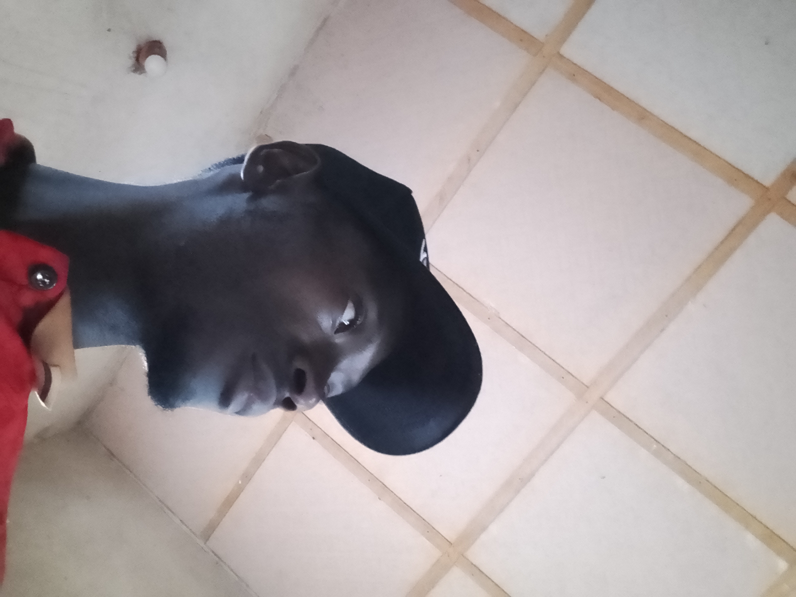 Endurance Friday mbak's Passport