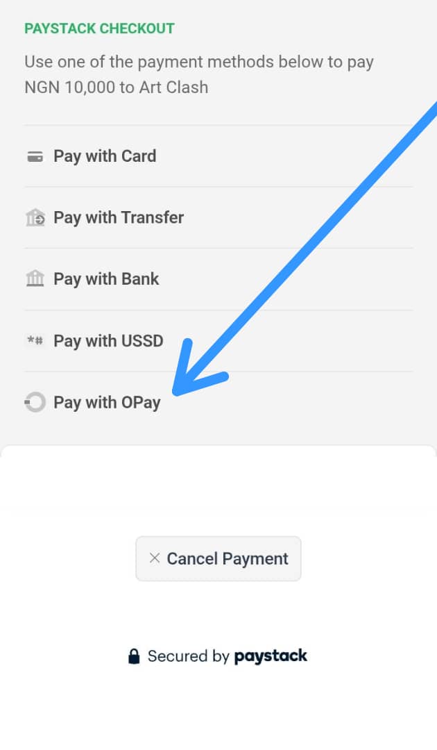 USSD Payment